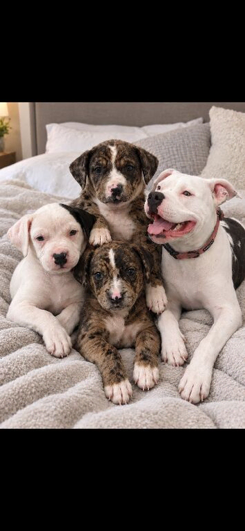 3 beautiful little girls left