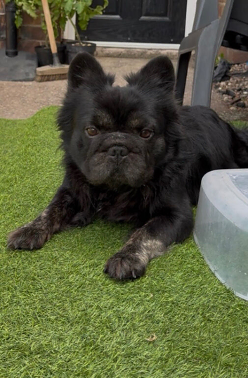 Rehoming due to work