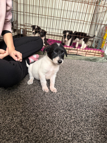 1Girl left ready now!