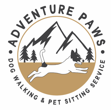 Experienced Professional Dog Walker East Lothian