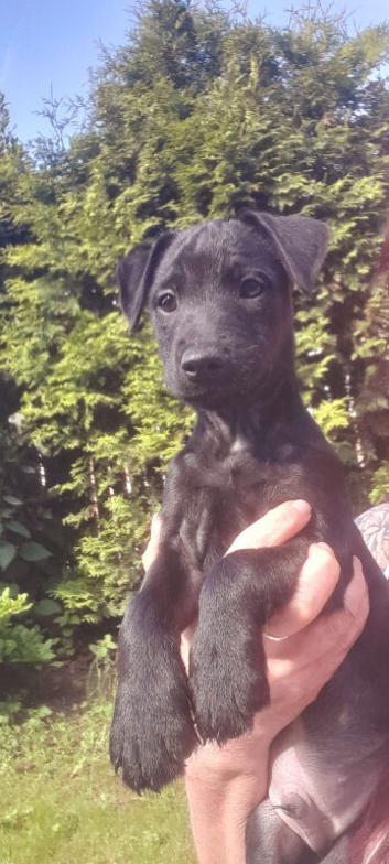 Lakeland,  patterdale