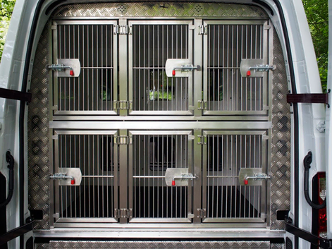 Pet Taxi | Animal Taxi | Transport Your Pets Across The UK and Europe