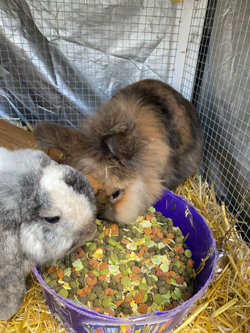 Billy and Barney
