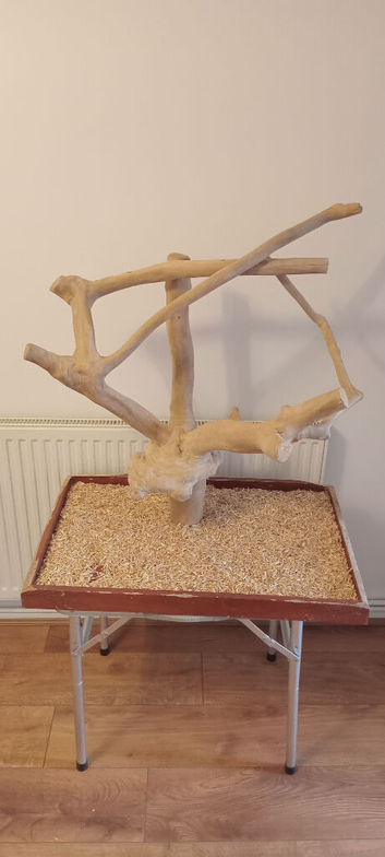 Java parrot play stand.