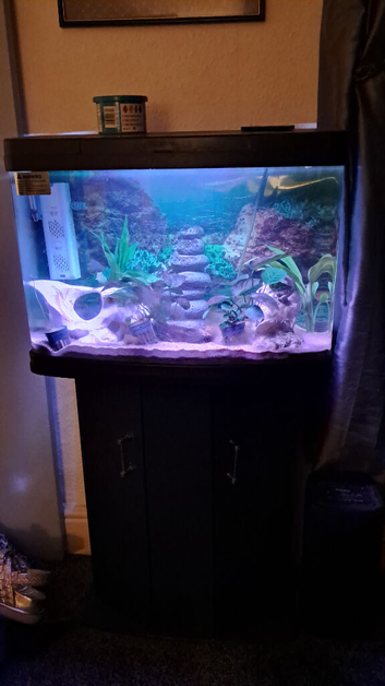 Fishtank with cabinet