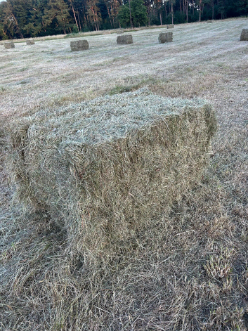 Quality 4ft 4 string meadow hay