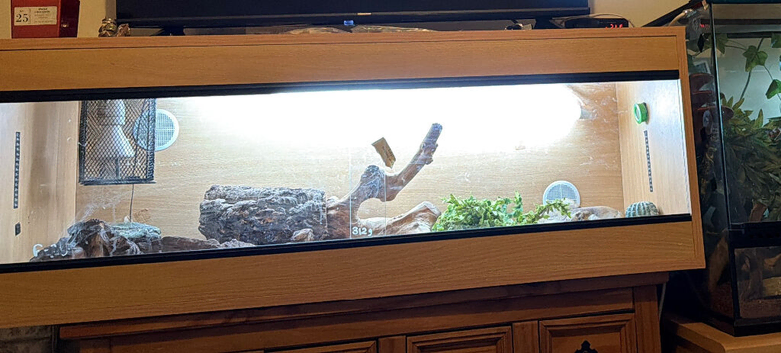 Vivarium for sale