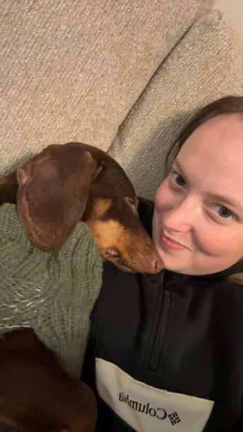 Male dachshund 10 months old
