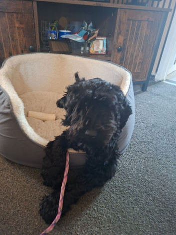 8 month old
