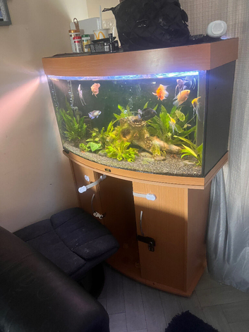 Fish and tank