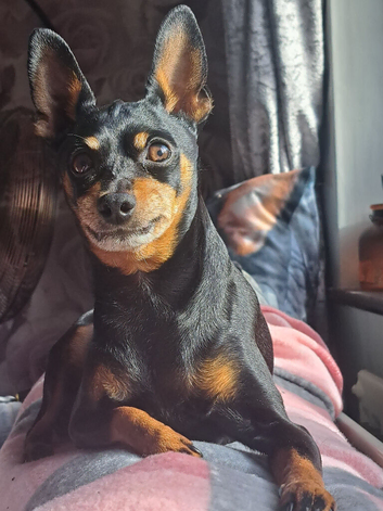 Missing min pin