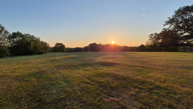 Grazing land wanted in Surrey