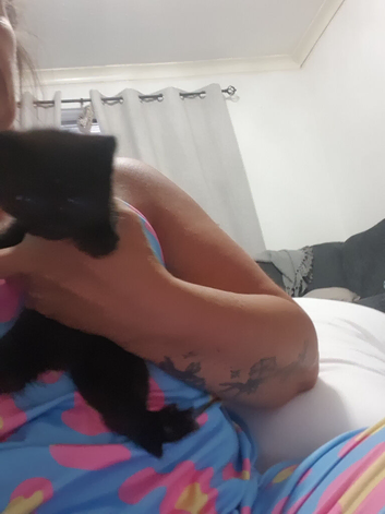 Kittens ready for new homes