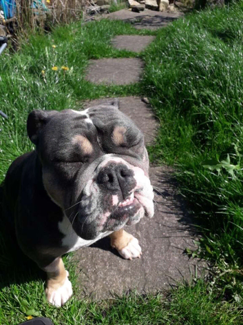 Narla