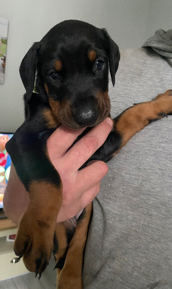 Little boy needs a new home