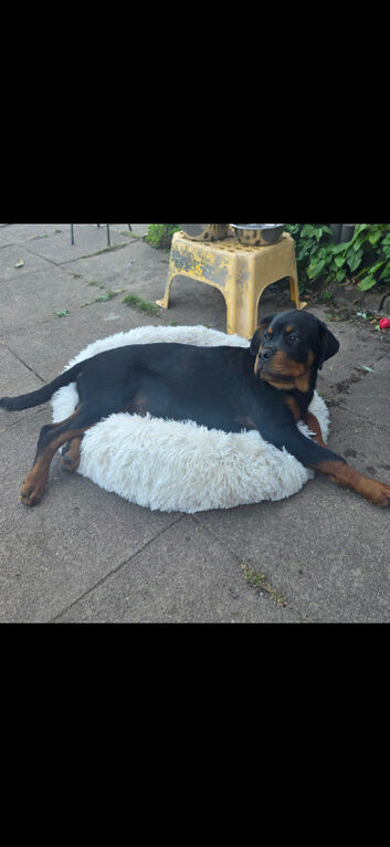 Roxi and zoe