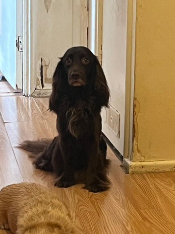 She is looking for lovely family
