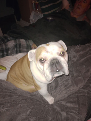 Looking for a forever home