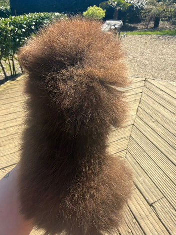 MICRO TINY solid chocolate teddy bear pom boy