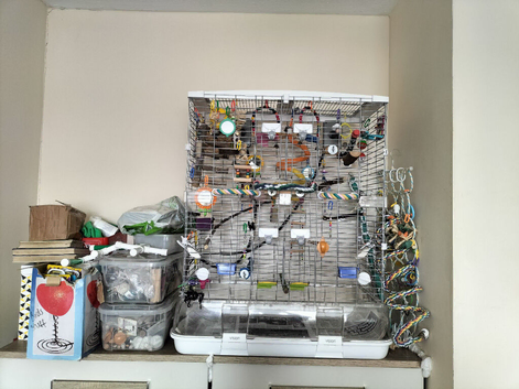 Vision tall L12 cage with accessories