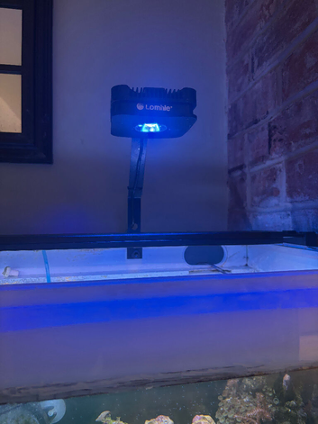 Marine reef lights