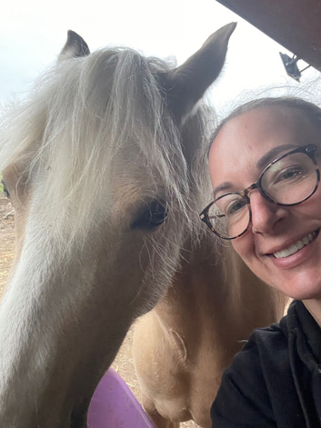 SOLE-USE YARD / GRAZING WANTED &ndash; 3 PONIES