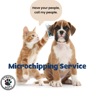 Microchipping approved by new DERFA requirements