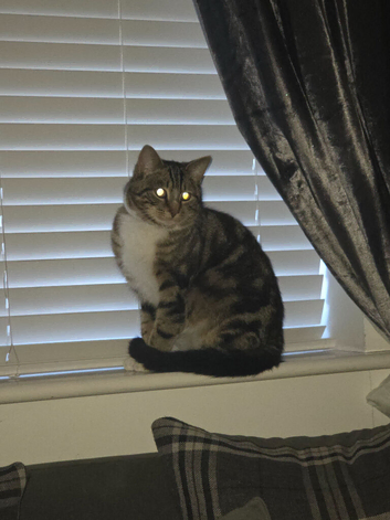 Jasper 1 year old