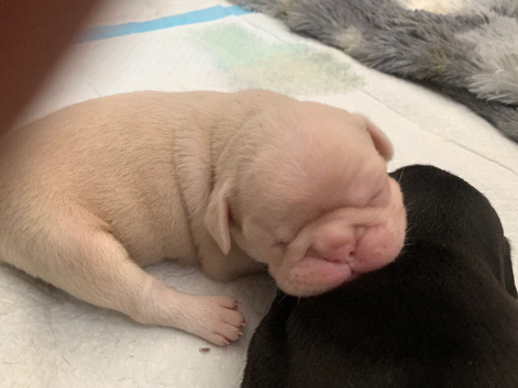 Beautiful babies ️