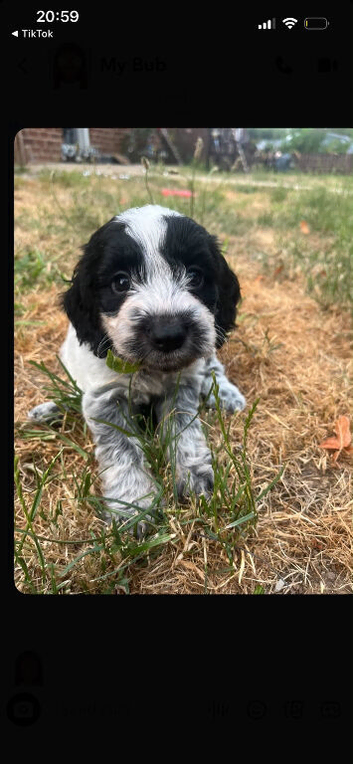 4 weeks old