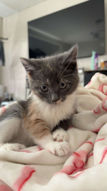 Beautiful little girl