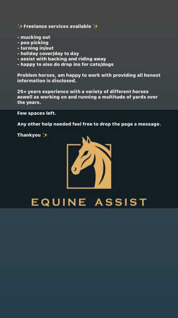 Freelance equestrian services