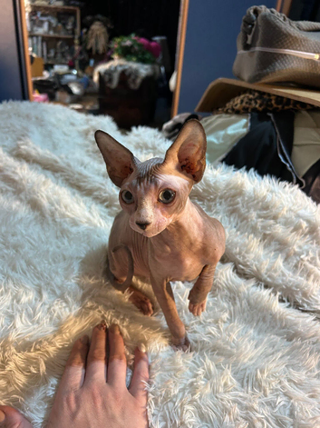 Petite Blue eyed GIRL