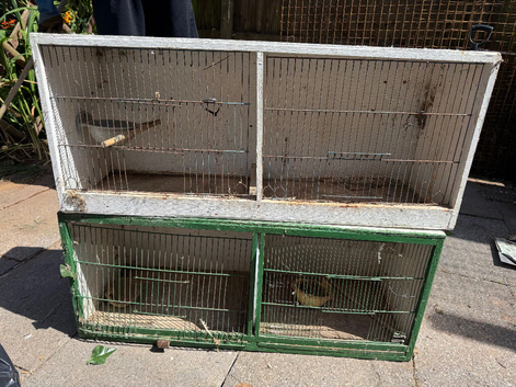 Canary breeding cage
