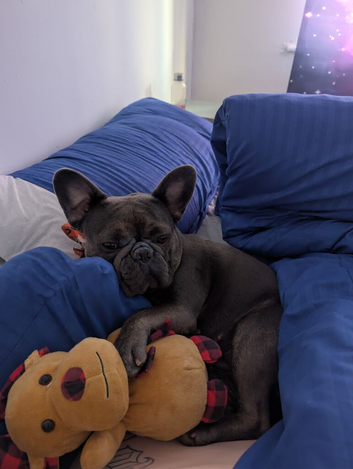 Bonnie
