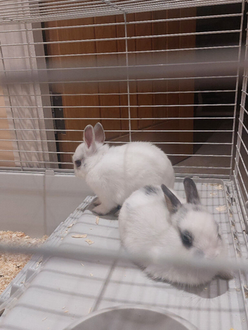 Mother and baby