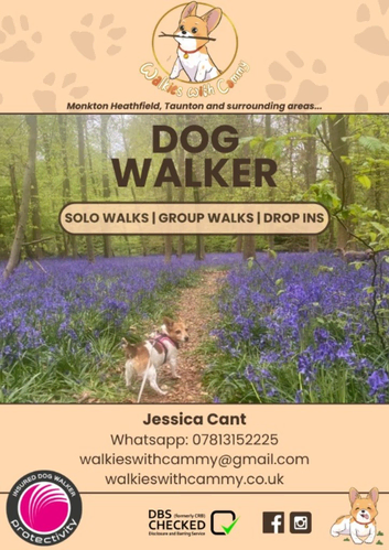 Need a trustworthy Dog Walker?