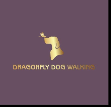 Dragonfly dog walking