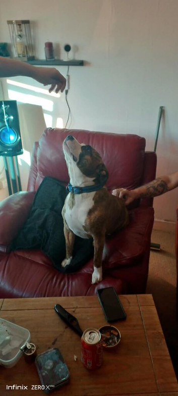 Oscar