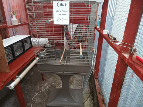 Bird.cages.