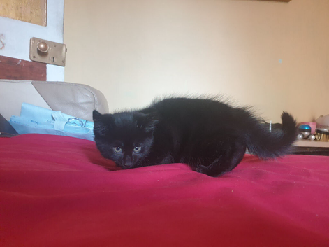 Black boy