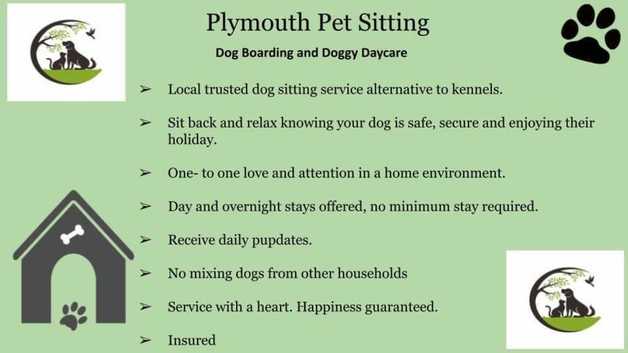 Plymouth Pet Sitting Dog boarding and day care