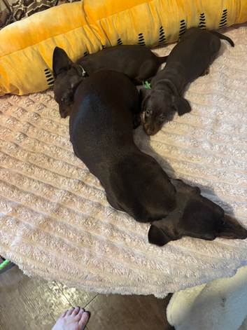 2 gorgeous boys left