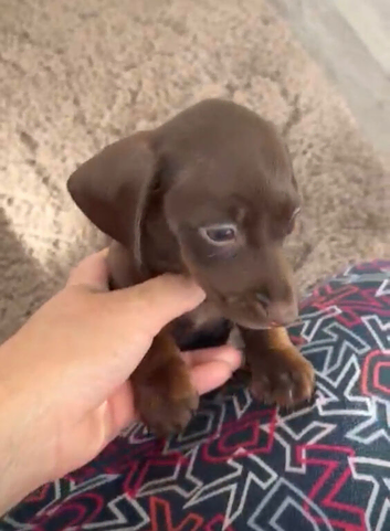 Beautiful girl available