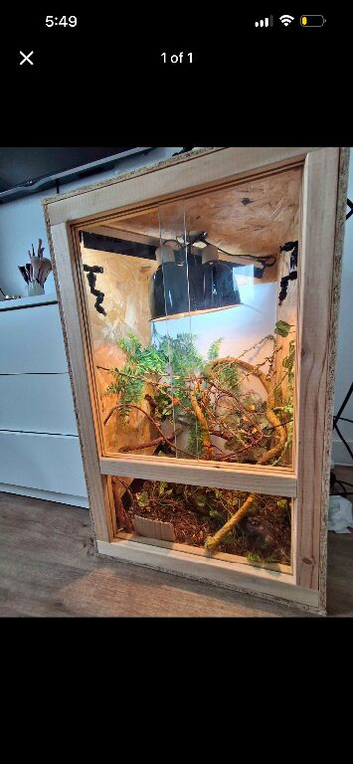 Chameleon