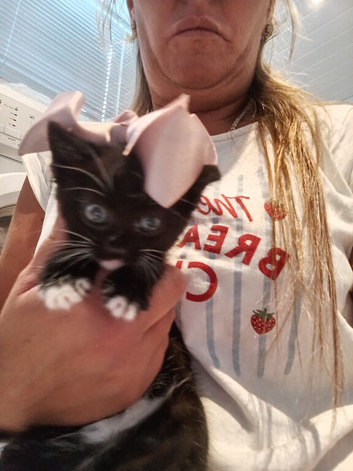 Kittens for sale