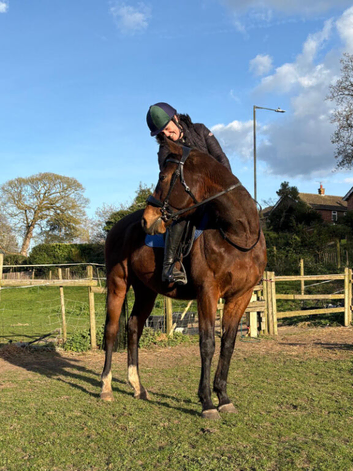 Freelance groom