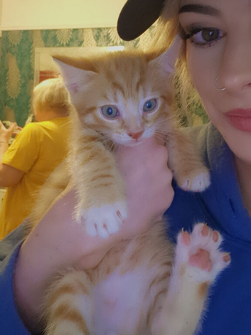 2 beautiful kittens ready now
