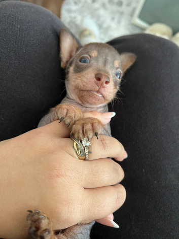 Beautiful little boy