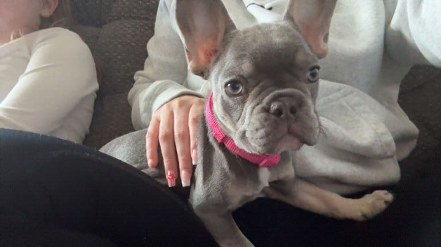 Coco